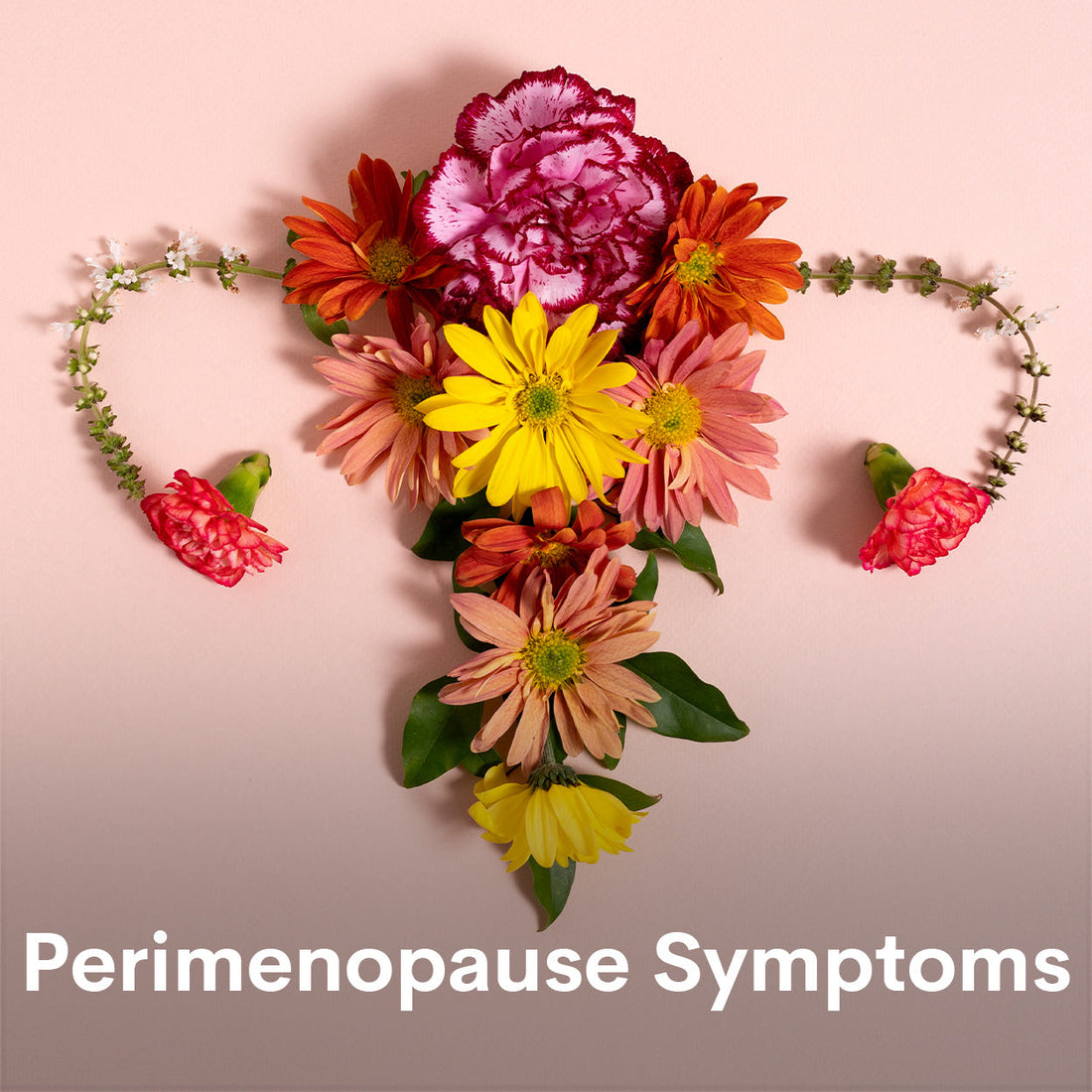 Perimenopause symptoms 