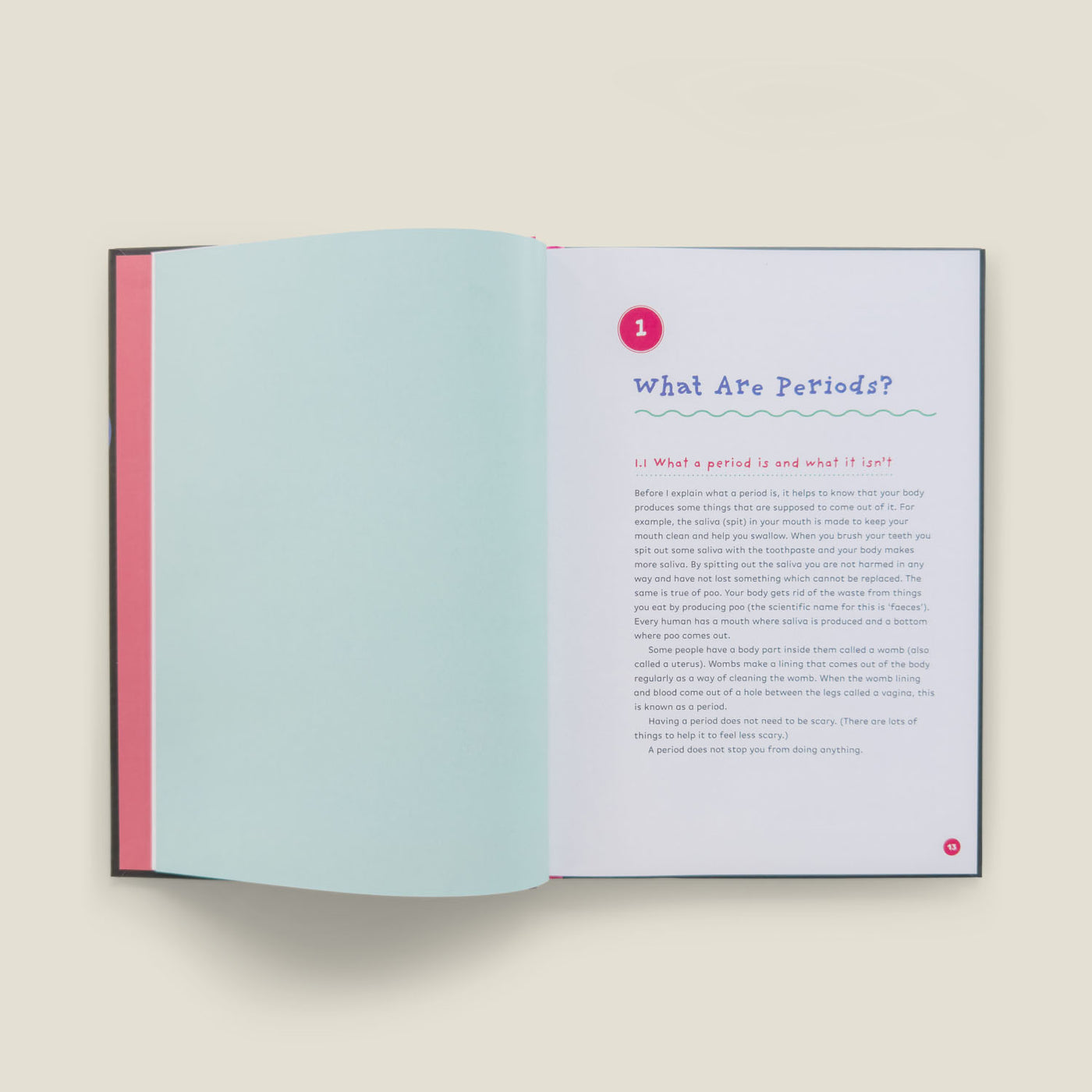 The Autism-Friendly Guide to Periods by Robyn Steward